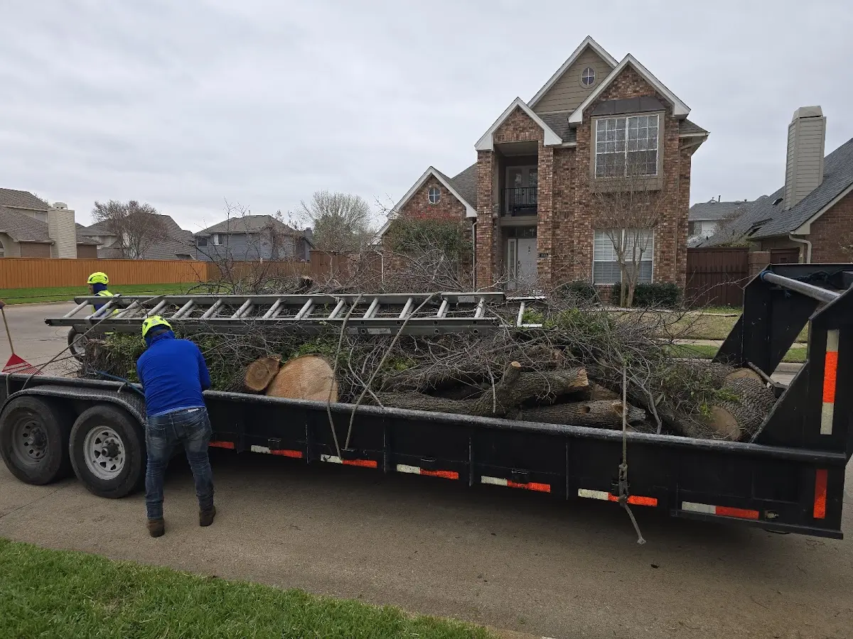 Expert Tree Pest Control with proper safety equipment in Yorktown